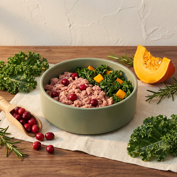 Turkey & Cranberry Feast